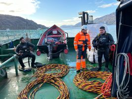 WhatsApp Image 2025-11-09 at 10.49.14 (1)